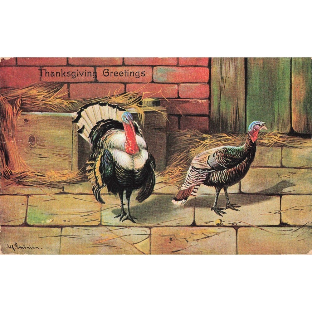 Vintage 1912 Thanksgiving Greetings Postcard Turkeys Germany K&BD 3085 - Picture 1 of 2
